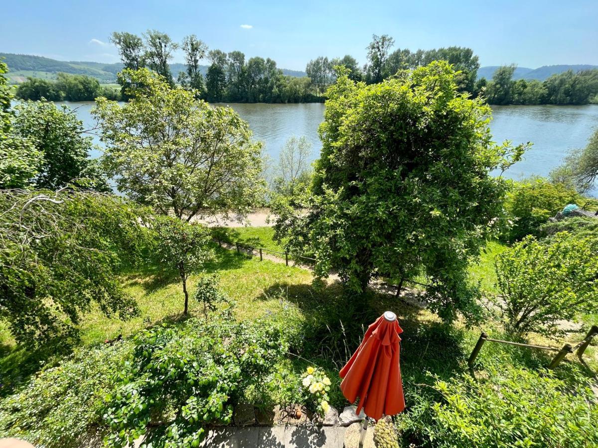 Moselglueck Apartment Швайх Екстериор снимка